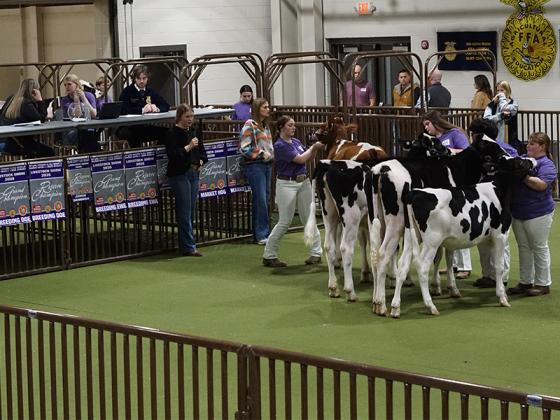 Judges named grand and reserve champions for various categories including dairy, breeding doe, breeding ewe and market hog showmanship.
