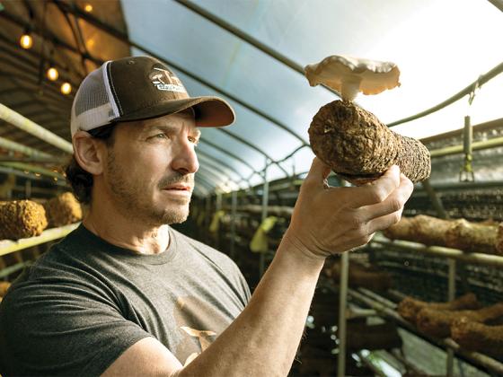 Howard Berk is the president and co-founder of Ellijay Mushrooms. (Photos courtesy of Howard Berk)