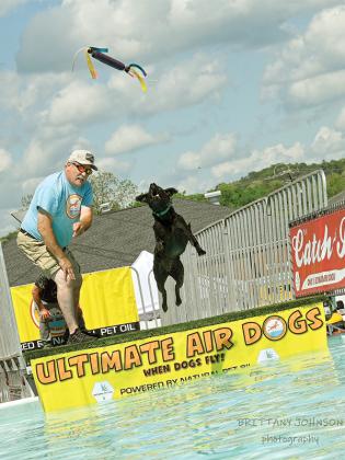 Ultimate Air Dogs set up an entire pool in the Gilmer Courthouse parking lot to let dogs dive off the dock as attendees watched. (Photographed by Brittany Johnson)
