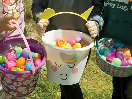 The American Legion Auxiliary hosted their annual Easter Egg Hunt on Saturday, April 12, at post 82 in Ellijay. 