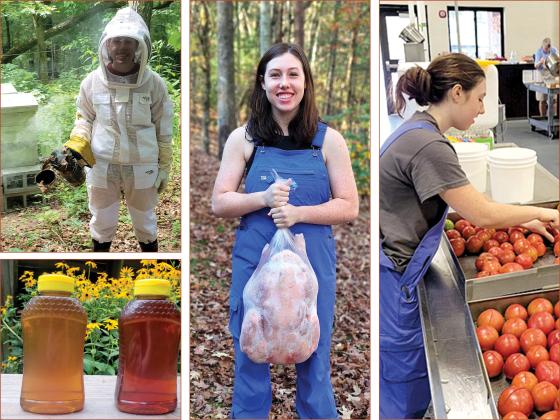 Last year, Clare Moore harvested 70 pounds of honey, canned 160 pounds of tomatoes and raised and processed 18 turkeys, which she sold at Thanksgiving.