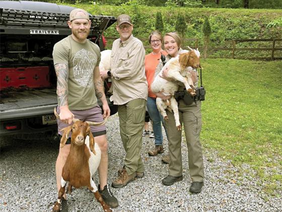 Deputies returned a herd of goats to their owner after being found Sunday, May 4, 14 miles away. (Courtesy of the Gilmer County Sheriff’s Office)