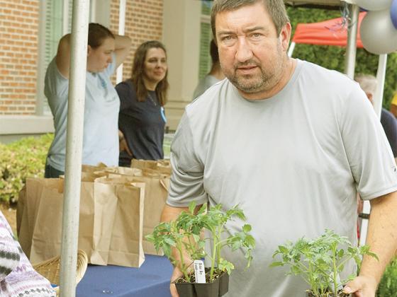 Jerome Lowman picking up tomato plants.