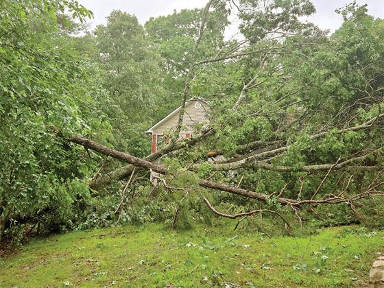 Emergency Management officials believe a possible straight line wind event caused problems in Gilmer County June 7, Downed trees and power poles left 6,800 without power.