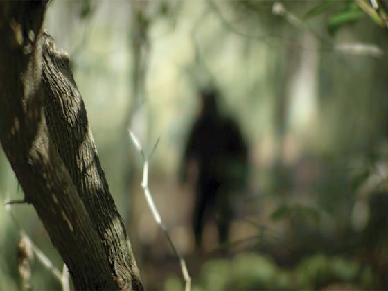 Could this shadow be Bigfoot, a ghost, or something else? (Photos contributed by Sozo Bear Films)