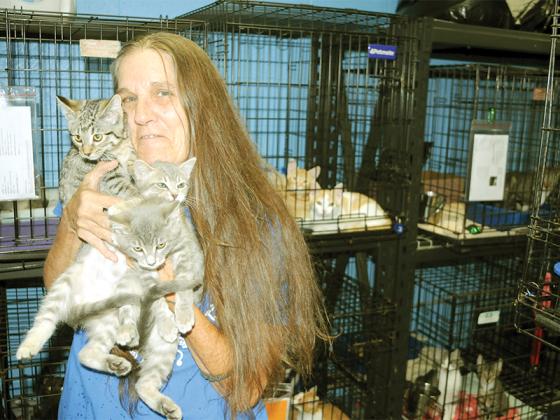 Animal caregiver Debi Klemens holds a bouquet of kittens at the Gilmer County Animal Shelter. 