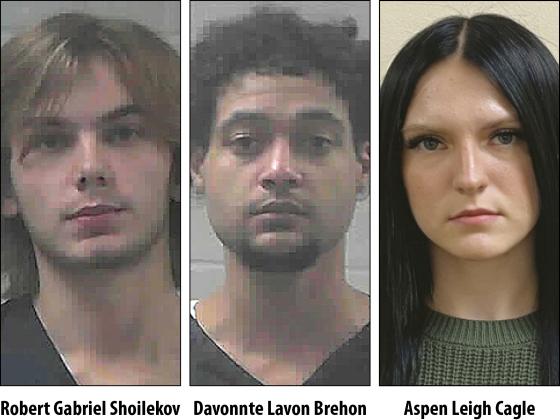 Robert Gabriel Shoilekov, Davonnte Lavon Brehon and Aspen Leigh Cagle pled guilty in court Wednesday July 16.