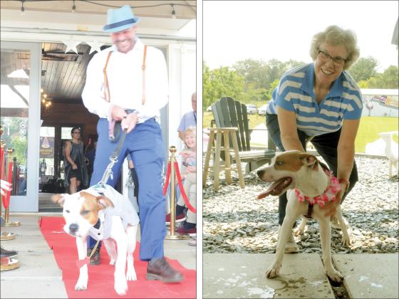 At left, Joe Thomas takes Patches on a walk down the red carpet at the Tails and Tiaras event. At right, Denise Burns spends some time with Dottie, a Gilmer County Animal Shelter dog.