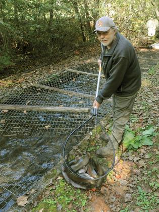 Longtime trout fisherman David Cantrell shows off a net full of stocked trout. 