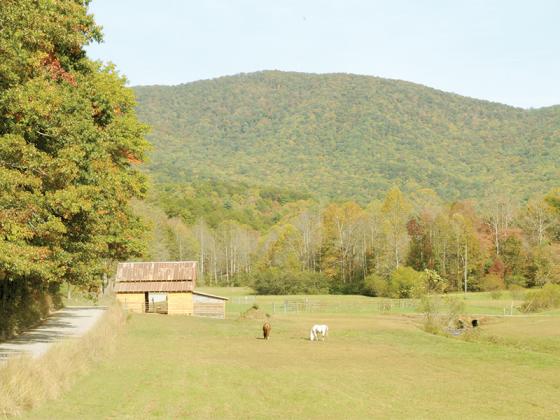 The Rock Creek Road barn lends beauty to the landscape.