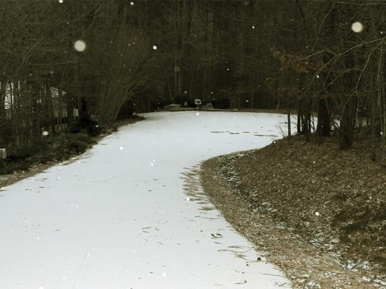Morning snowflakes fall in Gilmer County Saturday, Jan. 31.
