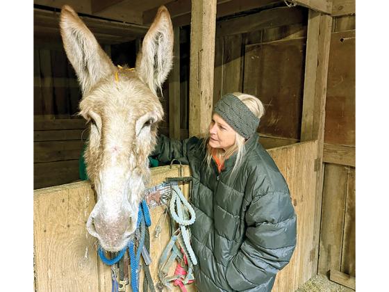 Renae Blair, the President of the Blair Haven Farm Equine Rescue and Sanctuary, welcomes Nutmeg back home Tuesday, Feb. 24.