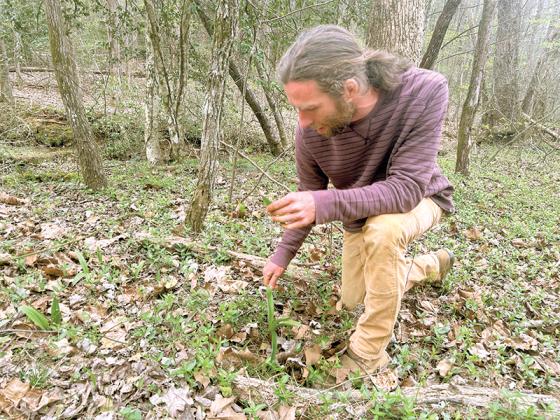 Caleb Arnold, the owner of Ever Wilder Farm, points out a ramp plant on his property.