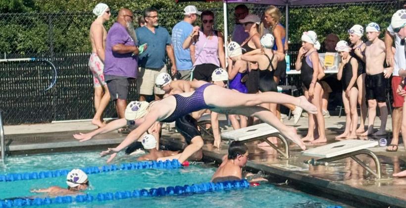 Gilmer swimmers attended their second meet of the summer last Thursday in Cartersville. Above, Ava Williamson dives into the pool.