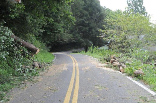 Many fallen trees blocked Gilmer roads after he storm on Tuesday, July 28.