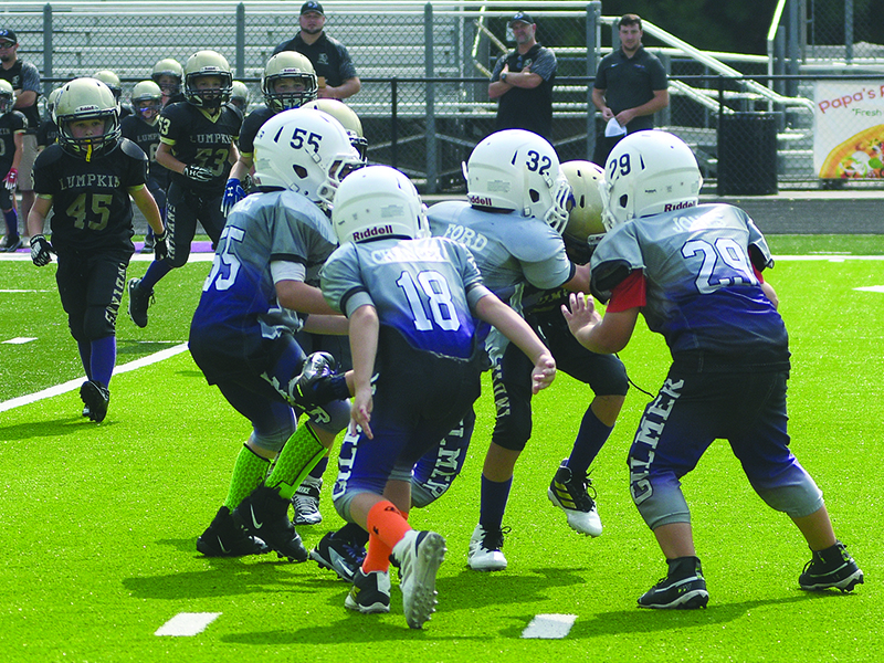 Gilmer’s 8U defenders rally to make a tackle and will travel to White County Saturday to play the Warriors.