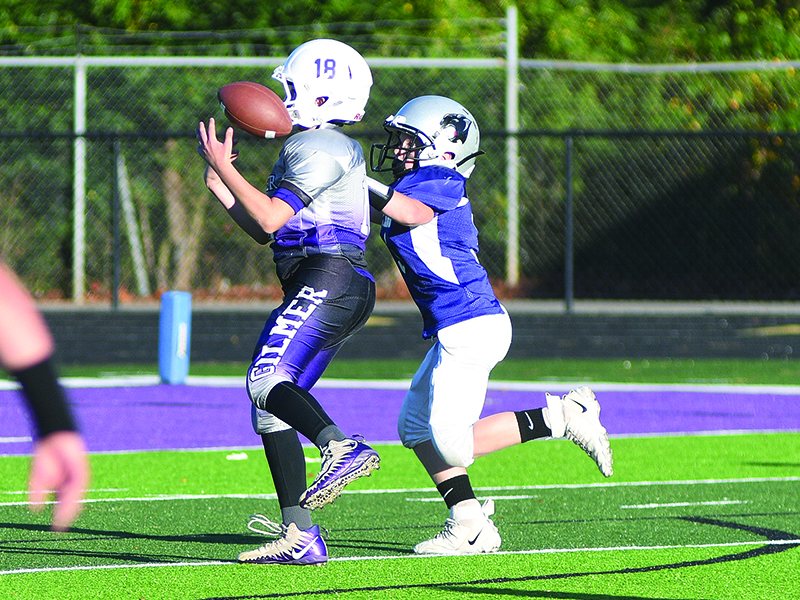 Bobcat defender Peyton Chancey (18) intercepts a pass late in the fourth quarter of last Saturday’s 10-under semifinals against the Union County Panthers.