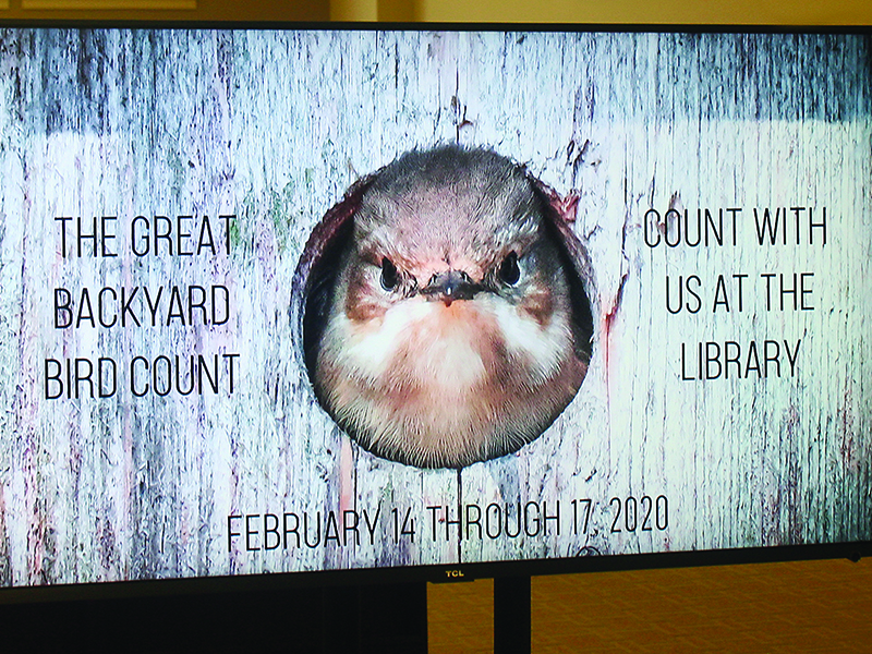 This month’s Great Backyard Bird Count activities are promoted in the lobby of the Gilmer County Library, which will host different bird-related programs for kids and adults.
