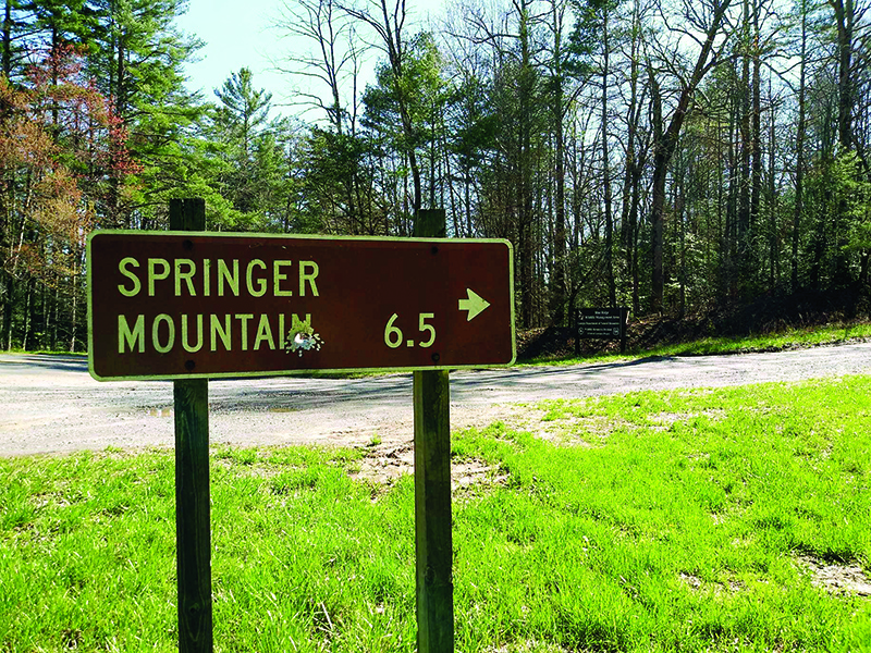 Forest Service Road No. 42 off Doublehead Gap Road leads to Springer Mountain, the southern terminus of the Appalachian Trail in Gilmer County. The USDA Forest Service has temporarily shut down several trails due to Covid-19 virus social distancing concerns, including Springer Mountain. For a link to area trail closures, go to fs.usda.gov/conf.