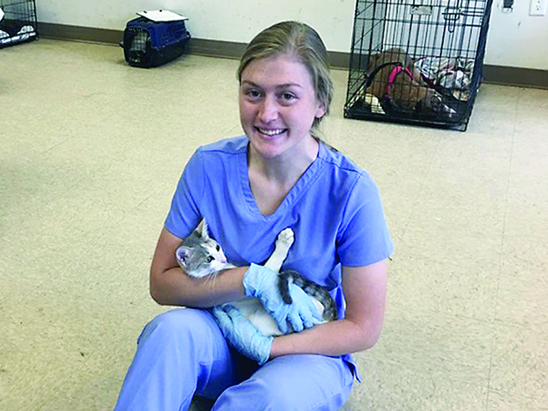 Veterinary technician Sarah Prather comforts a feline patient.