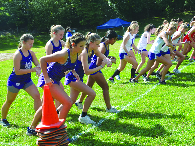 Above from left, Lady Cats Laney Hensley, Mallory Henson, Naomi Coombs, Madison Stanley and Amalia Perez-Escobar start the girls 5K last Thursday.