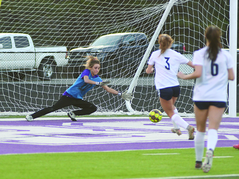 Gilmer junior Reagan Boling makes one of 12 saves versus the White County Warriors last Wednesday.