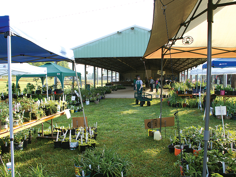 The Lions Club Fairgrounds will be flush with locally-grown plants during the Garden Club of Ellijay’s annual plant sale Saturday, May 21. 