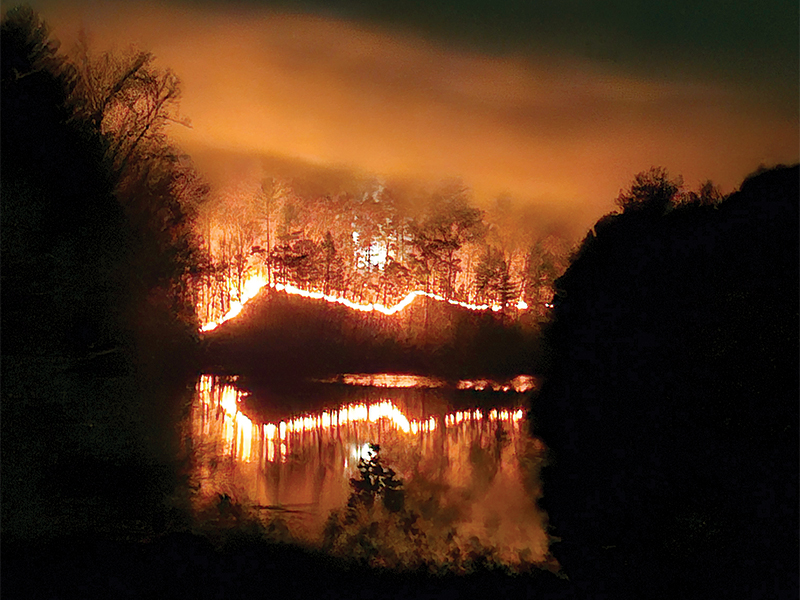 Forestland burns above Davenport Lake during a wildfire that started in the Mountaintown/Zion Hill area of the county last Friday. (Georgia Forestry Commission)