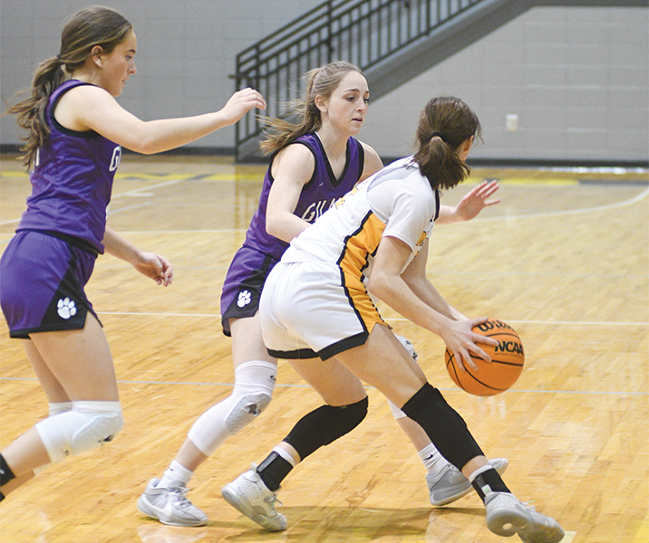 From left, Lady Cats Bree Burnette and Aliza Chastain trap a McMinn County, Tenn., ball handler last Wednesday.