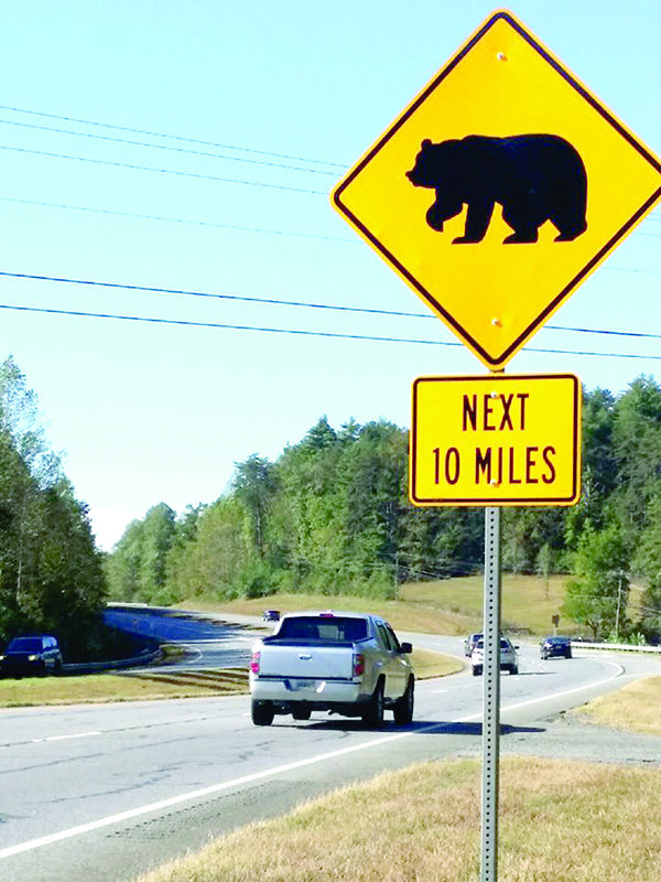A new sign on Highway 515 just north of Cherry Log alerts southbound motorists of a stretch where several bear have been struck and killed