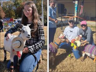 Ryland Shook is shown with her goat, Joey. Ginny and Mark Cummings with their goats, Nibbles and Millie. Nibbles was named first-place winner in the Sunday, Oct. 23,  goat beauty pageant.