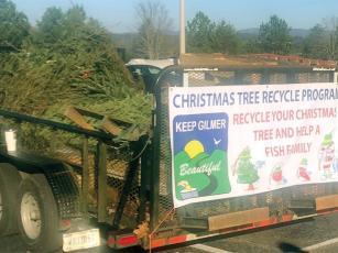 Representatives of Keep Gilmer Beautiful will help to collect discarded Christmas trees, which will be used to create natural fish habitat and bottom cover at Carters Lake. 