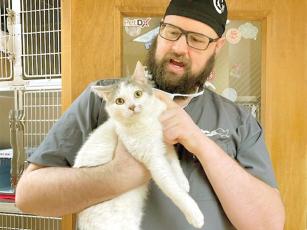 Dr. David Roberson, of VCA Appalachian Animal Hospital, holds a feral cat that is in the first group of ferals to be fixed under a trap, neuter and release program led by Friends of the Gilmer Animal Shelter. 