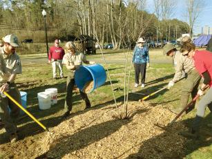 Ashley Hoppers, Gilmer County Extension Agent, right, joins Georgia Forestry Commission employees including, from left, forester Ben Cobb, North Georgia Community Forester Lea Clark and Gilmer forester Richie Mullen to spread mulch around a newly planted serviceberry tree. The community tree planting was held in recognition of Georgia Arbor Day.