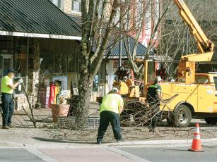 A crew with the city street department collects cut limbs in front of shops on the roundabout.