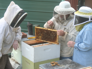 The Gilmer County Beekeepers, members of which are seen above tending to hives at their apiary, are among the environmentally-conscious groups scheduled to participate in the first Earth Day Fair presented by Coosawattee River Resort.