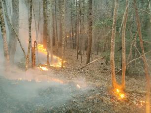 U.S. Forest Service Pictured are recent prescribed burns in the U.S. Forest Service’s Chattahoochee-Oconee district near Blue Ridge, above, and Helen, below.