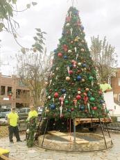 City street department employees David Bryan, Tony Teague and Steven Morris and volunteer Bobby Cloer (on ladder) put the finishing touches on the downtown Ellijay Christmas tree, which they put up on the square last week. (Photo by Marcel Lowery)