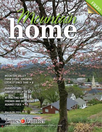 Mountain Home Magazine 2024